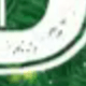 彩色