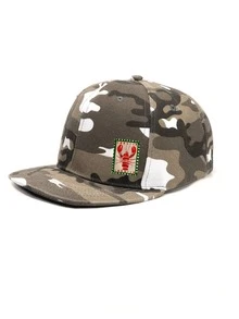 1 pieza Gorra de béisbol unisex con estampado de dibujos animados, estilo hip hop, adecuada para hombres y mujeres, para todas las estaciones (primavera/verano/otoño/invierno), ideal para volver a la escuela, fiestas, playa, Navidad, bodas, actividades al aire libre, estudiantes y maestros, regalos, diseño personalizado de estilo clásico americano Y2K, gorra trucker rosa/negra/verde
