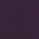 紫色