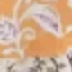 彩色
