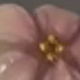黃色
