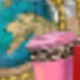 彩色