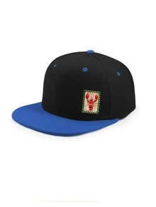 1 pieza Gorra de béisbol unisex con estampado de dibujos animados, estilo hip hop, adecuada para hombres y mujeres, para todas las estaciones (primavera/verano/otoño/invierno), ideal para volver a la escuela, fiestas, playa, Navidad, bodas, actividades al aire libre, estudiantes y maestros, regalos, diseño personalizado de estilo clásico americano Y2K, gorra trucker rosa/negra/verde
