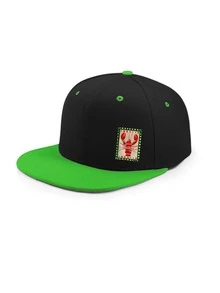 1 pieza Gorra de béisbol unisex con estampado de dibujos animados, estilo hip hop, adecuada para hombres y mujeres, para todas las estaciones (primavera/verano/otoño/invierno), ideal para volver a la escuela, fiestas, playa, Navidad, bodas, actividades al aire libre, estudiantes y maestros, regalos, diseño personalizado de estilo clásico americano Y2K, gorra trucker rosa/negra/verde