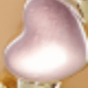 Bộ 4 món