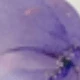 彩色