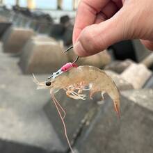 5 piezas de anzuelos luminosos con luz nocturna para camarones vivos, anzuelos de acero al carbono con púas resistentes a la corrosión en agua salada y dulce para pesca
