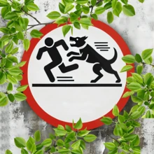 1pc 8x8 Inch Vintage Style Round Metal Dog Attack Warning Sign - Waterproof, Fade-Resistant, Easy To Hang, Durable Wall Art, Suitable For Home, Office, Bar Decor, Dog Wall Art - Multicolor - View 5