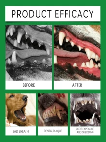 Polvo limpiador de dientes para perros - Protege la higiene bucal, limpia suavemente los dientes del perro, polvo dental para mascotas fresco y limpio - Multicolor - Ver 3