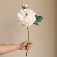 M.S MO SHI HOME FURNISHINGS 1 bucată de floare de bujor artificială de înaltă calitate, floare artificială realistă cu două capete, bujor ars, potrivită pentru decorarea vintage a casei, decorarea biroului, decorarea nunții, Ziua Îndrăgostiților, cadou de ziua de naștere, ceremonie de absolvire, aranjament floral în vază DIY, grădină, decorarea camerei, petrecere de sărbători, plantă artificială