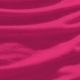 Rosa Fucsia