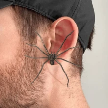 1 Piece Halloween Spider Earrings, Novel And Unique, Terrifying Realistic 3D Large Spider Earrings, Halloween Costume Props Spider Ear Hangings, Suitable For Both Men And Women (Actual Pictures Do Not Include The Box, Outer Packaging Is Random). Due To Manufacturing Issues, The Earring Posts Are Random.