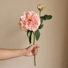 M.S MO SHI HOME FURNISHINGS 1 bucată de floare de bujor artificială de înaltă calitate, floare artificială realistă cu două capete, bujor ars, potrivită pentru decorarea vintage a casei, decorarea biroului, decorarea nunții, Ziua Îndrăgostiților, cadou de ziua de naștere, ceremonie de absolvire, aranjament floral în vază DIY, grădină, decorarea camerei, petrecere de sărbători, plantă artificială