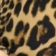 Animal Print