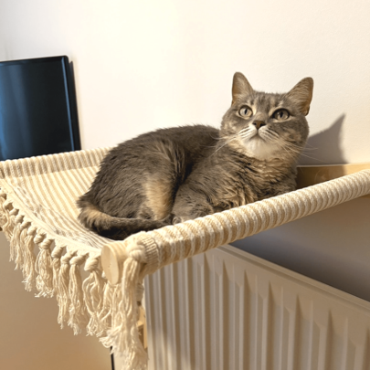 1pc Cat Wall Shelf & Perch, Soft Cat Hammock With Tassels, Natural Wood, Suitable For Large & Small Cats