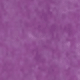 Màu Lilac Tím