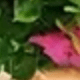 Color Mixing