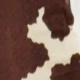 Brown Cow