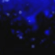 Azul-Preto