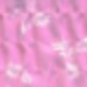 Rosa Fucsia