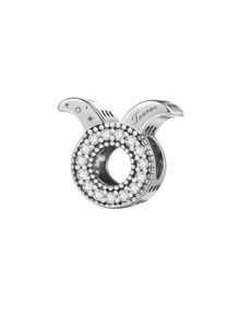 1颗精美十二生肖吊坠珠，适合女性佩戴，可用于DIY制作手链、手镯等首饰，是送给女朋友的绝佳礼物。 - 十二星座 - 查看 18