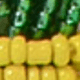 Nhiều màu