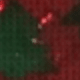 Árbol de Navidad verde