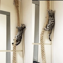 118"/300cm Extra Long Soft Cat Scratching Post, Ceiling Mounted Cat Climbing Rope Trainer