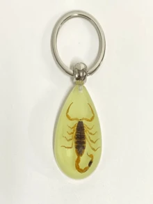 Glow-In-The-Dark Encapsulated Real Cicada, Crab, Spider, Scorpion Keychain. Symbolic Backpack Pendant, Water Drop Shaped Real Insect Specimen Desk Toy, Car Decor, Office Decoration, Wall Art, Versatile Keychain, Unique Artistic Gift - Multicolor - View 13