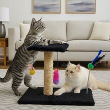 Scratching Post With Interactive Toys With Sisal And Balls - Black - View 2