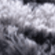 Tie-dye Stipe Black Grey