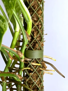 1pc 3D Printable Modular Mosspole That Can Be Filled With Sphagnum Mos