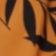 駝色