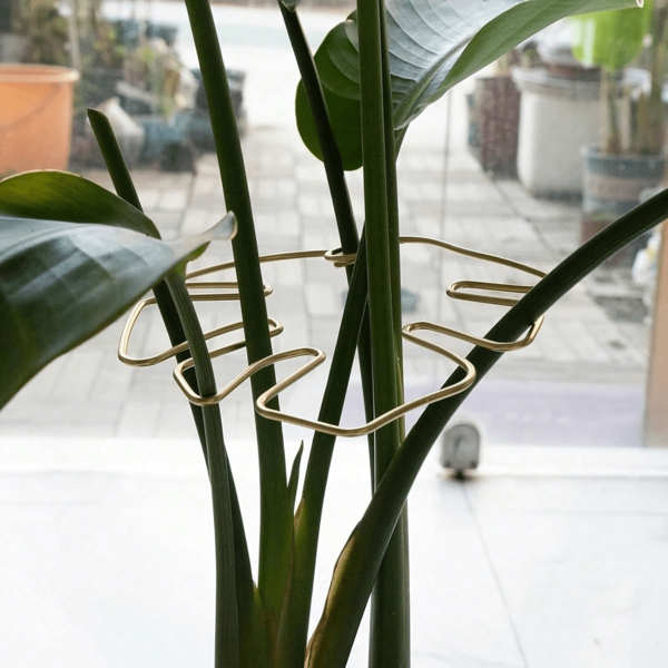 2 piezas Soporte de planta con forma de hoja de concha de tortuga de metal - Clip de monstruo duradero, diseño único apto para plantas trepadoras, pinza de bambú con concha de tortuga, soporte de planta ideal para un crecimiento saludable