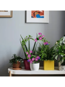 2pcs Rust-Free Iron Garden Trellises For Climbing Plants, Plant Support Stakes, Trellis Cage For Potted Plants, Indoor And Outdoor Potted Plant Support Rack, Creative Floral Support Stand, Reusable Metal Climbing Plant Stems Support , Round & Heart Shaped, Ideal For Pothos, Hoya, Vines | Durable Metal Plant Support, Garden Flower Supports, Garden Decor, Flower Pot Decor, Plant Trellis, Ideal For Healthy Growth Of Indoor Plants