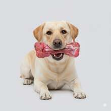 Unbreakable Dog Toys For Aggressive Chewers, Extremely Hard Toys For Small/Medium/Large Breeds, Original Dog Bone Chew Toys, Durable Dog Toys, Tough Dog Toys, Meat Flavored, Prepared Dog Bones Keep Dogs Busy - Large Rubber Realistic Dog Bone Pet Supplies,