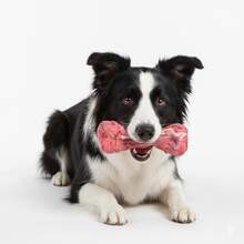 Unbreakable Dog Toys For Aggressive Chewers, Extremely Hard Toys For Small/Medium/Large Breeds, Original Dog Bone Chew Toys, Durable Dog Toys, Tough Dog Toys, Meat Flavored, Prepared Dog Bones Keep Dogs Busy - Large Rubber Realistic Dog Bone Pet Supplies,