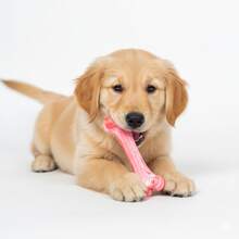 Unbreakable Dog Toys For Aggressive Chewers, Extremely Hard Toys For Small/Medium/Large Breeds, Original Dog Bone Chew Toys, Durable Dog Toys, Tough Dog Toys, Meat Flavored, Prepared Dog Bones Keep Dogs Busy - Large Rubber Realistic Dog Bone Pet Supplies,