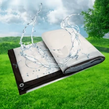 透明防水篷布，升级款帐篷透明天幕布，风雨雪天气必备，安装超级方便，完美适合多场景风雨雪使用