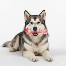 Unbreakable Dog Toys For Aggressive Chewers, Extremely Hard Toys For Small/Medium/Large Breeds, Original Dog Bone Chew Toys, Durable Dog Toys, Tough Dog Toys, Meat Flavored, Prepared Dog Bones Keep Dogs Busy - Large Rubber Realistic Dog Bone Pet Supplies,