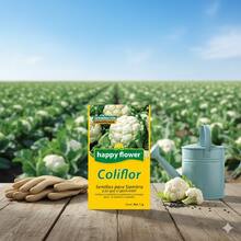 Pack de 6 Semillas de Coliflor Happy Flower – Germinación Garantizada (1 g c/u) - Amarillo - Ver 4