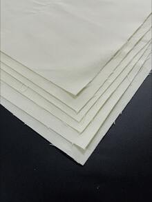 6 件/套 30*30cm 米色棉质绣花布，100% 纯棉密绣布，适合手工刺绣和圣诞装饰 - 米色 - 查看 5