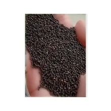 10pcs Rare Pink Wisteria Bonsai Tree Seeds - Noble Flowering Bonsai - Japanese Wisteria Multiflora