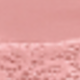 Rosa coral
