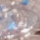 白鋯雙CC字母耳釘