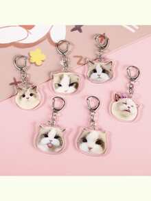 Trưng bày và lưu trữ đồ sưu tầm - Nhiều màu - Xem 2