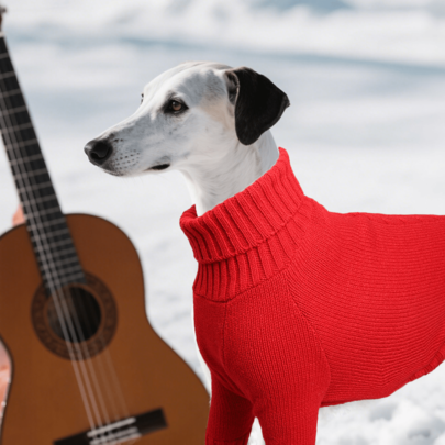 BJAYPET 1 قطعة كنزة صوفية كلب، ناعمة ومريحة، ضرورية لخروجات الكلب في فصلي الخريف والشتاء، باللون الأحمر الذي يلبي احتياجات موضة الكلاب، متوفرة بأحجام متعددة مناسبة للكلاب صغيرة ومتوسطة وكبيرة الحجم