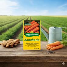 Pack de 6 Semillas de Zanahoria Happy Flower – Germinación Garantizada (1 g c/u) - Amarillo - Ver 4