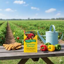 Pack de 6 Semillas de Pimiento Morrón Happy Flower – Germinación Garantizada (500 mg c/u) - Amarillo - Ver 4