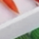 Multicolor
